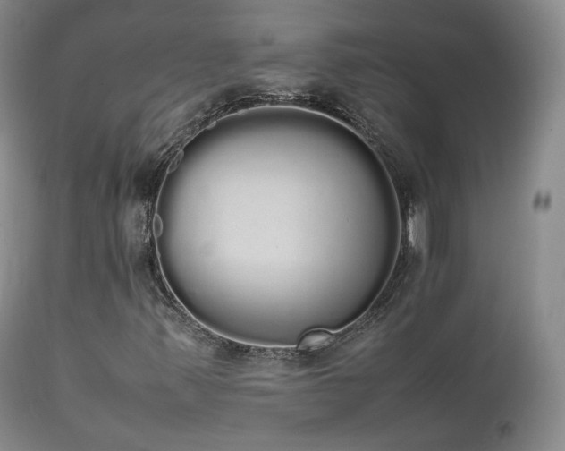 X0000111451347200907131320
