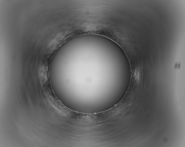 X0000111451348200907131320