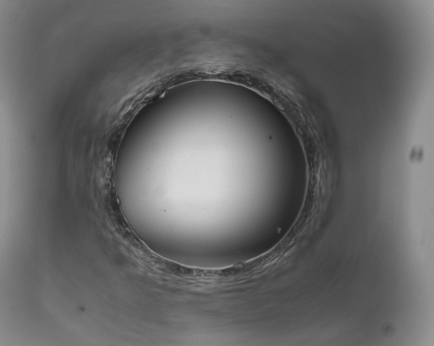 X0000111451349200907131320