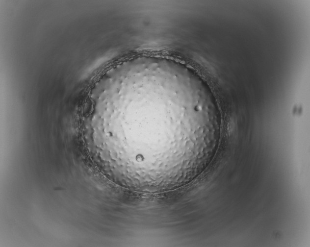 X0000111451350200907131320