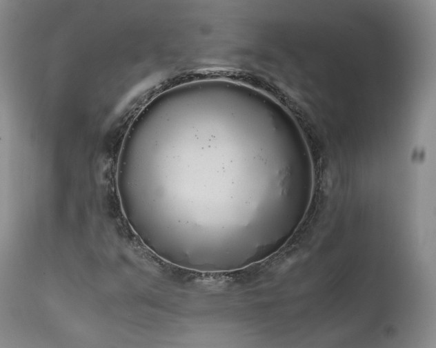 X0000111451351200907131320