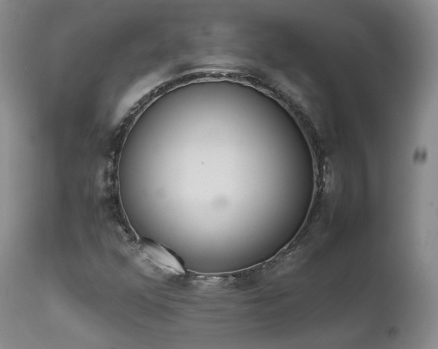 X0000111451352200907131320
