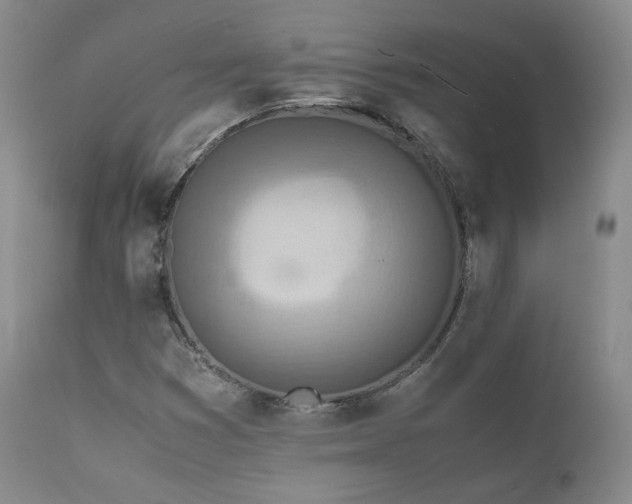 X0000111451353200907131320