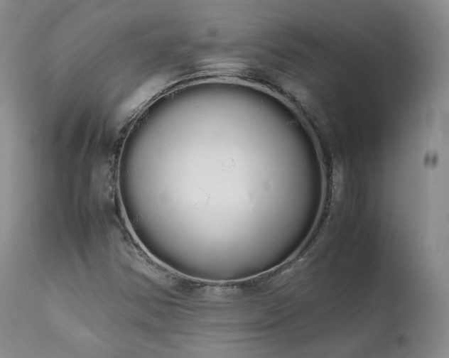 X0000111451354200907131320