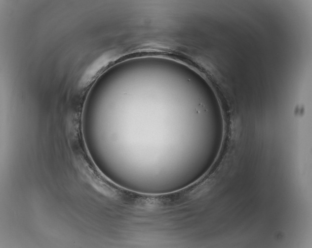 X0000111451355200907131320