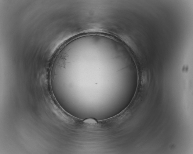 X0000111451356200907131320
