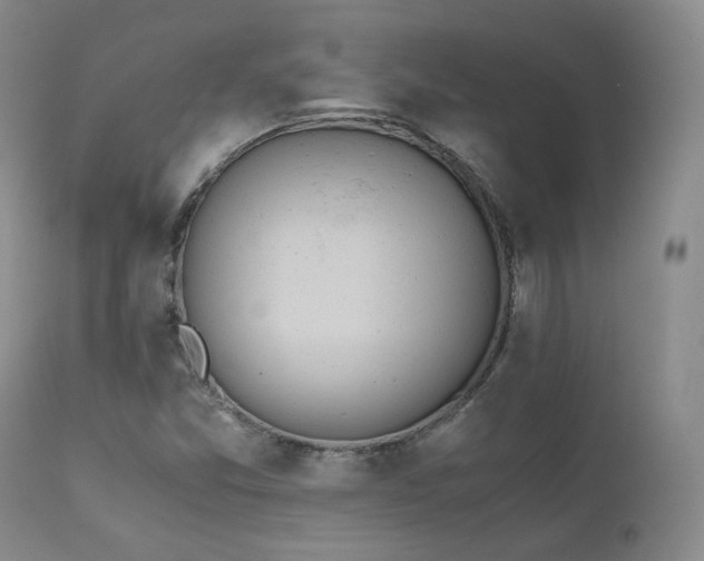 X0000111451357200907131320