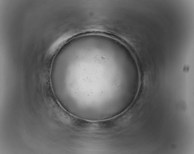 X0000111451359200907131320