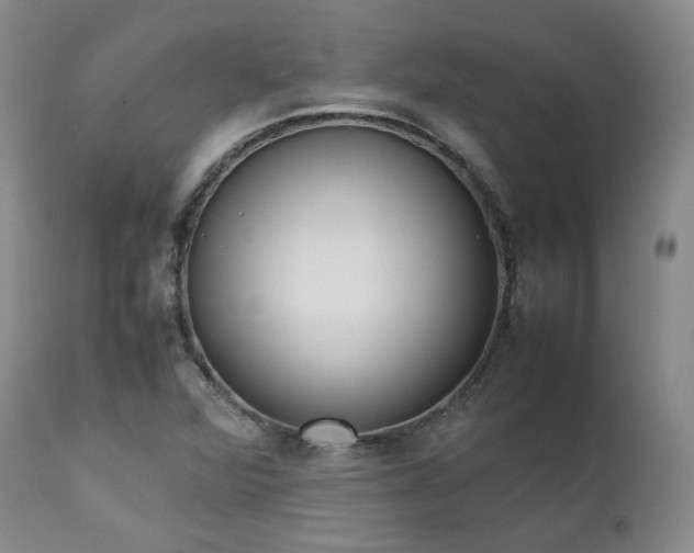 X0000111451360200907131320