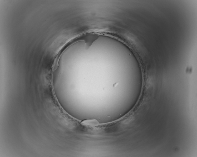 X0000111451361200907131319