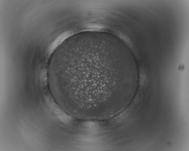 X0000111451362200907131319