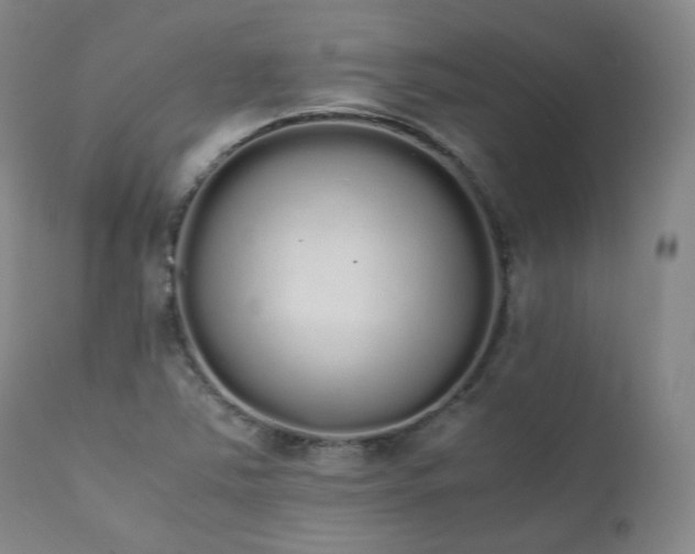 X0000111451363200907131319
