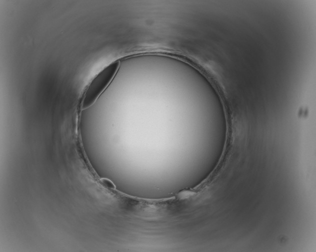 X0000111451365200907131319