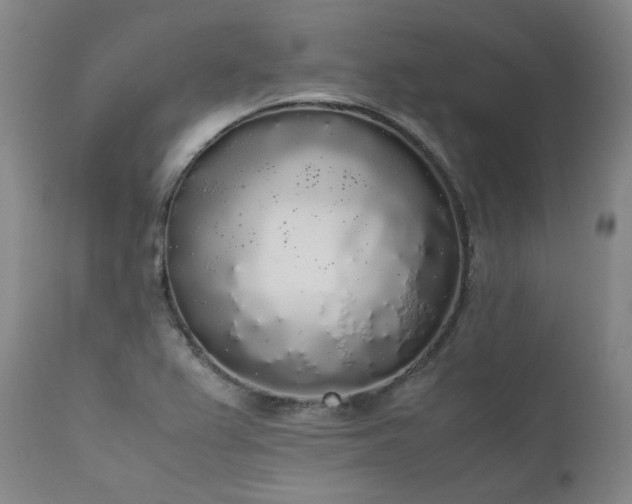 X0000111451367200907131319