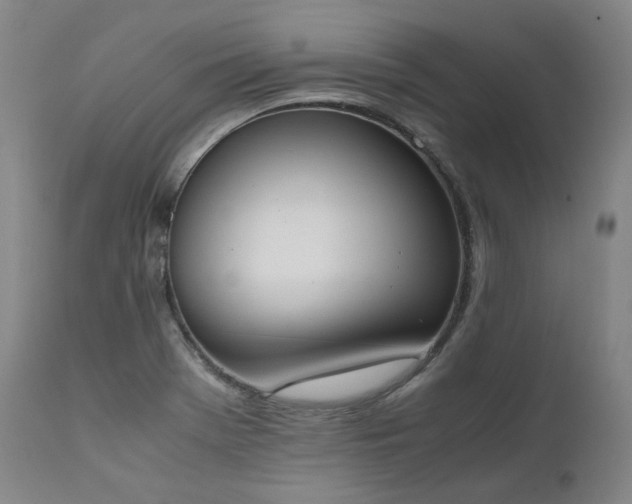 X0000111451369200907131319