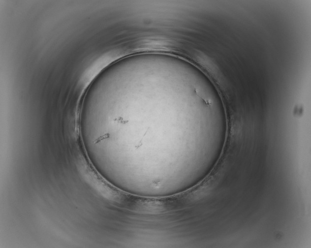 X0000111451370200907131319