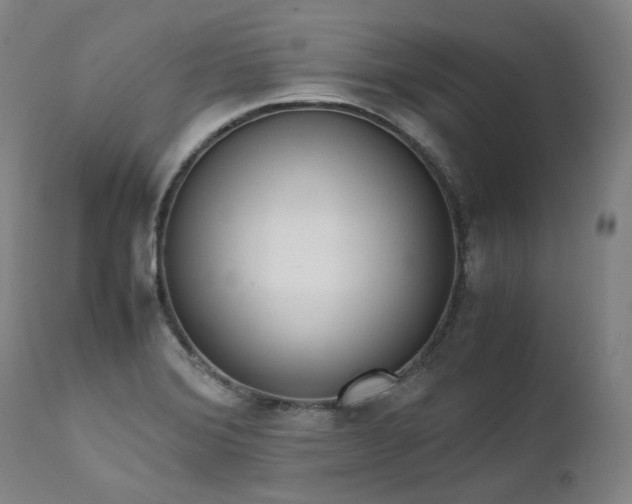 X0000111451372200907131319