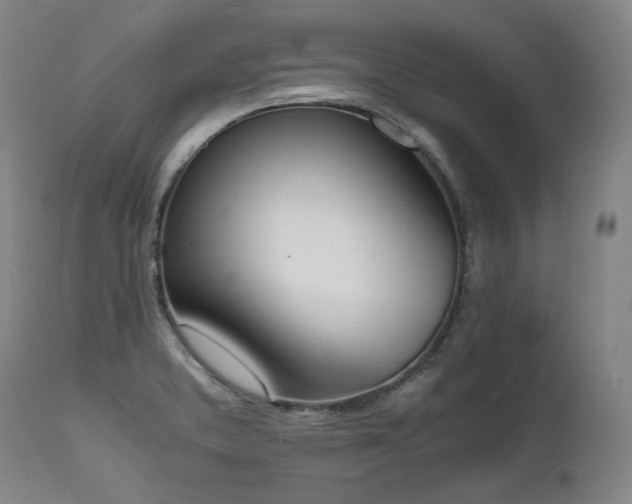 X0000111451373200907131319