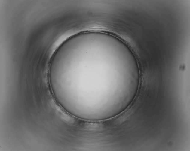 X0000111451374200907131319