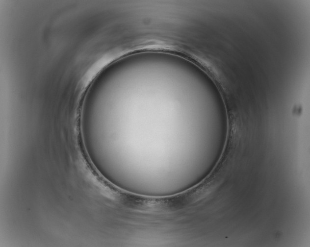 X0000111451375200907131319