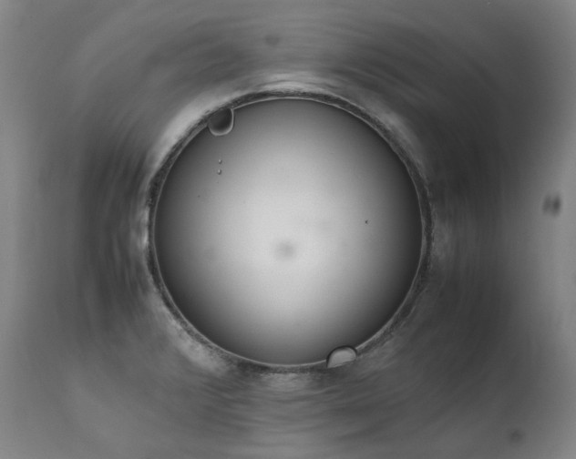 X0000111451376200907131319