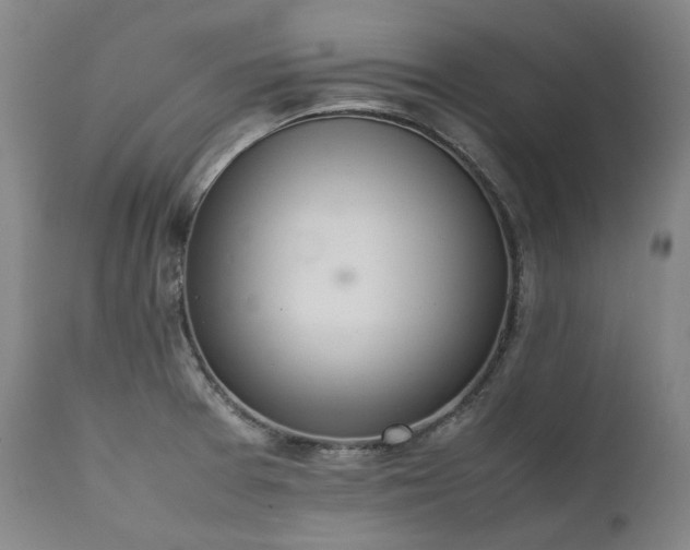 X0000111451377200907131319