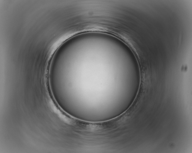 X0000111451379200907131319