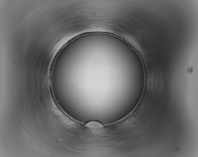 X0000111451380200907131319