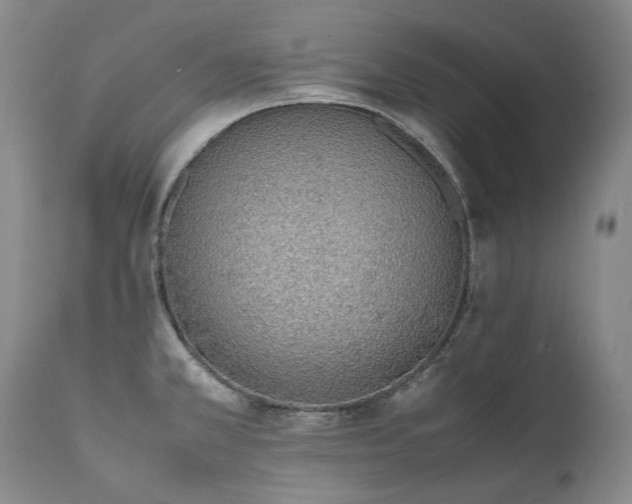 X0000111451381200907131319