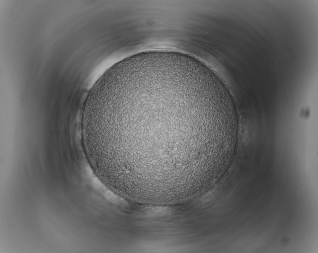 X0000111451382200907131319