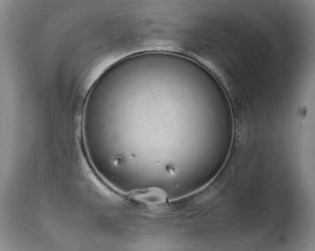 X0000111451383200907131319