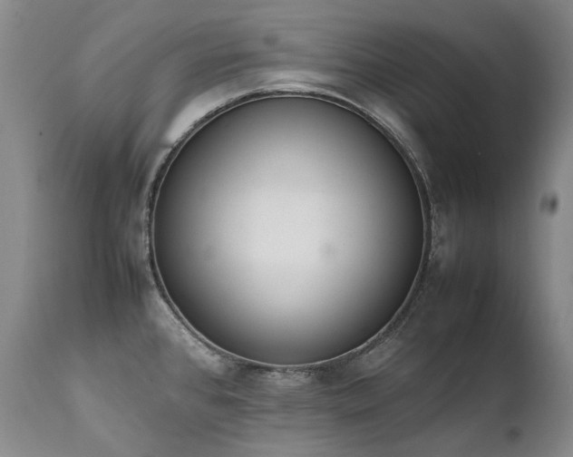 X0000111451384200907131319