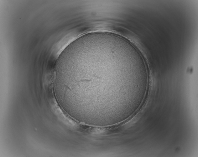 X0000111451385200907131319