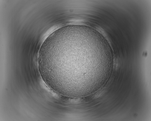 X0000111451386200907131319