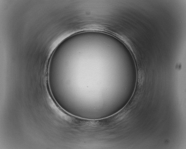 X0000111451387200907131319