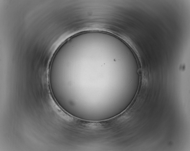 X0000111451388200907131319