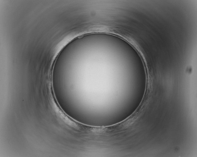 X0000111451389200907131319