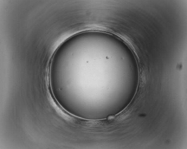 X0000111451391200907131319
