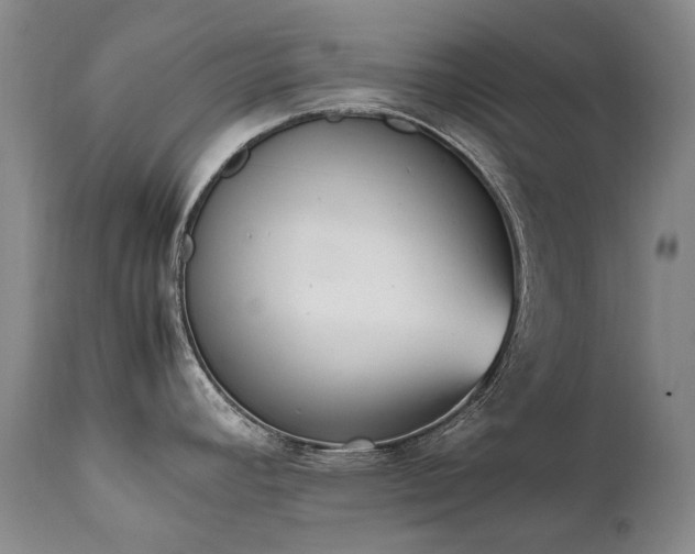 X0000111451392200907131319