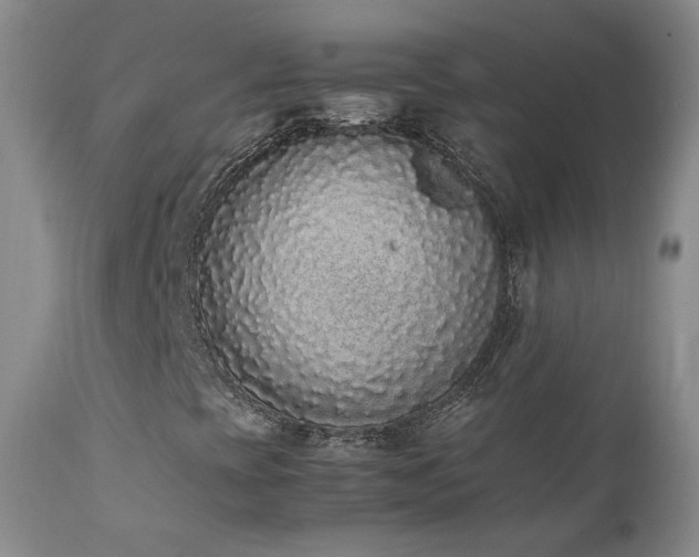 X0000111451393200907131318