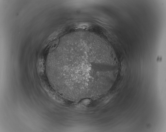X0000111451394200907131318