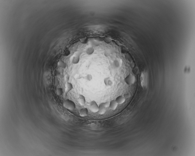 X0000111451395200907131318