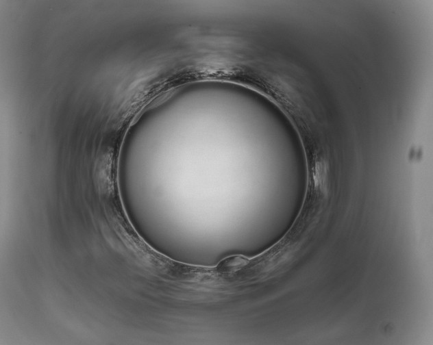 X0000111451396200907131318