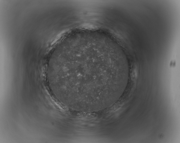 X0000111451397200907131318