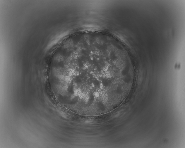 X0000111451399200907131318