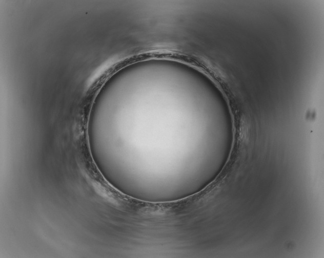 X0000111451400200907131318