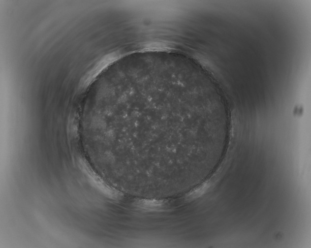 X0000111451401200907131318