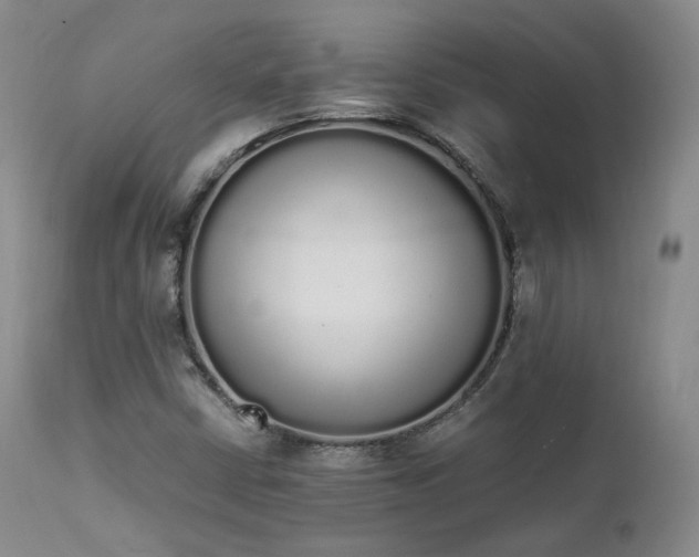 X0000111451402200907131318