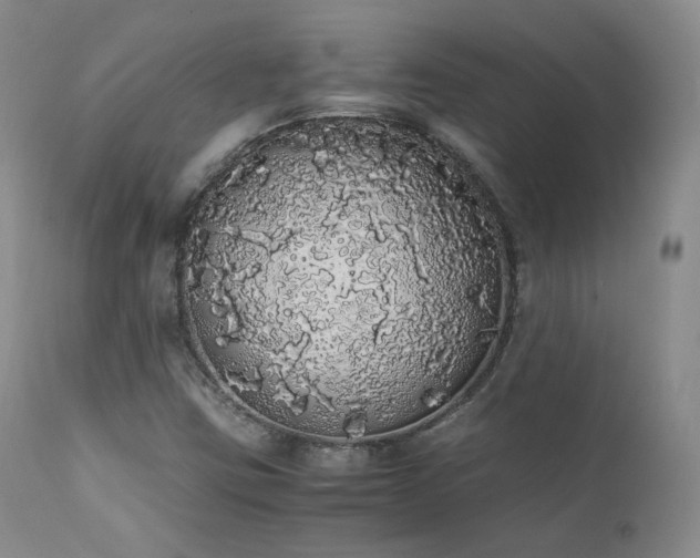 X0000111451403200907131318