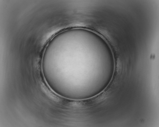 X0000111451404200907131318